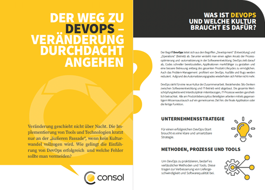 Grafik: DevOps-Strategie: Whitepaper mit Best Practices
