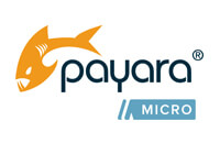 Logo: Payara Micro